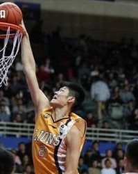  布莱顿主场三连胜创队史最佳开局纪录