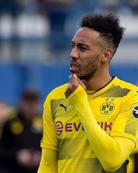  哈兰德双响炮助多特轻取柏林赫塔